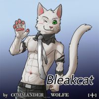 Bleakcat