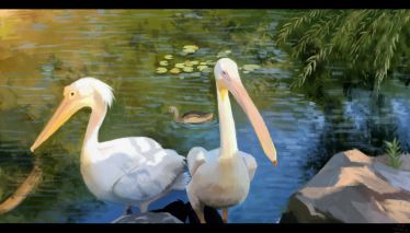 Pelikane von Hongshan Zoo by 外卖很好吃