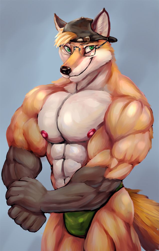 肌肉狐