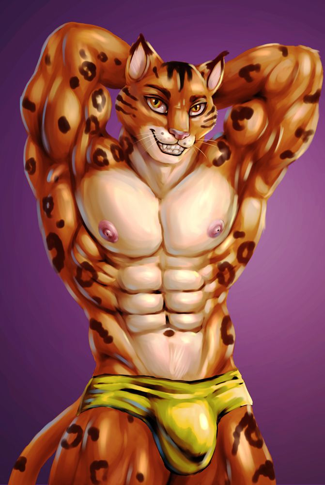 豹猫 by 时间猫, 肌肉, 豹猫