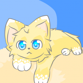 黃貓