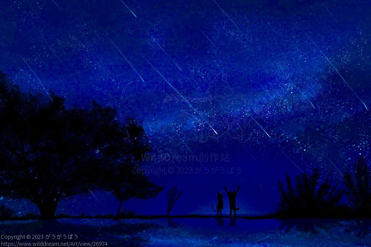 Midnight star shower by がうがうばう, furry, star