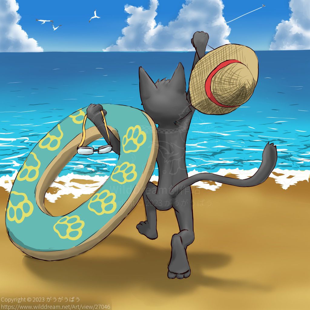 Jump in sea!! by がうがうばう, furry, black cat, sea