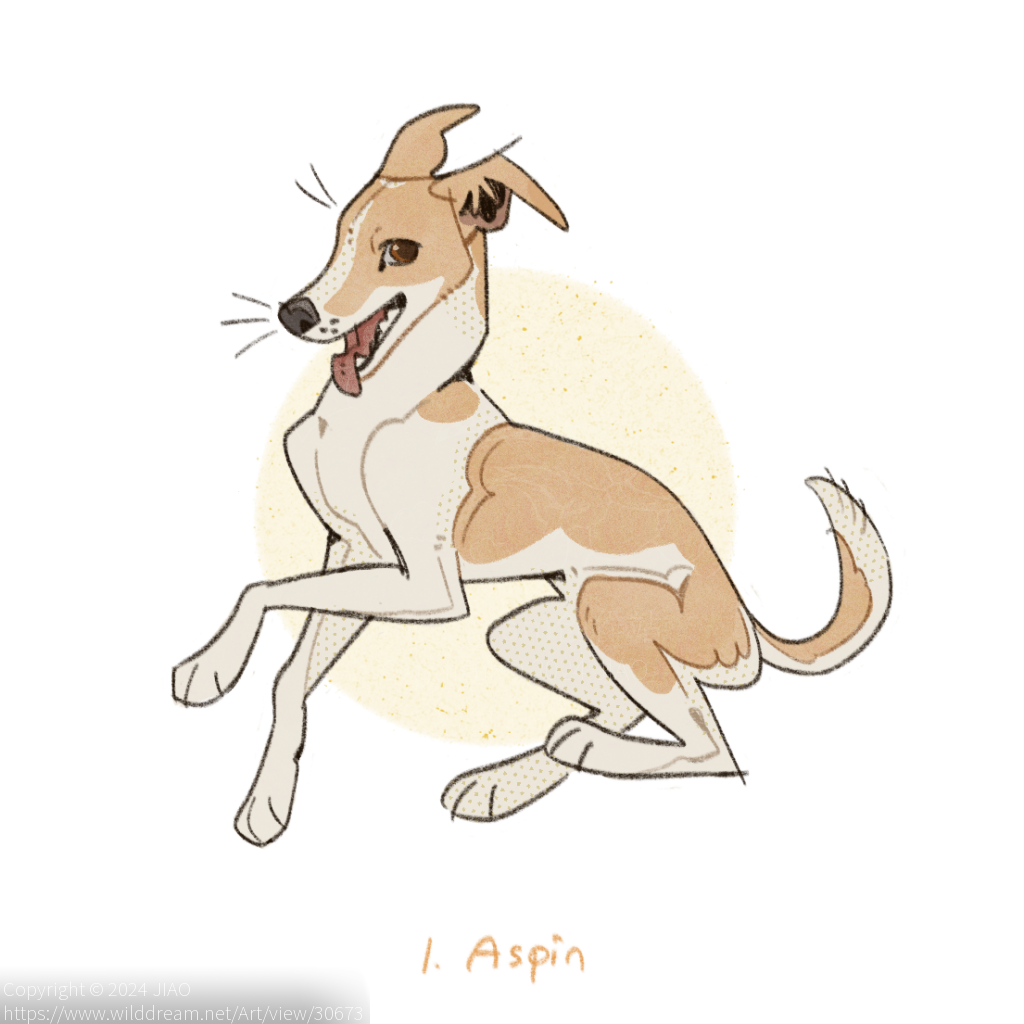 菲律宾本土犬_Aspin by JIAO