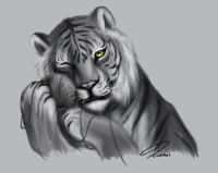 Tiger's Cuddling by PhantomSpark