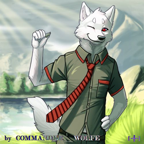 雪鬣-小溪边 by COMMANDER--WOLFE