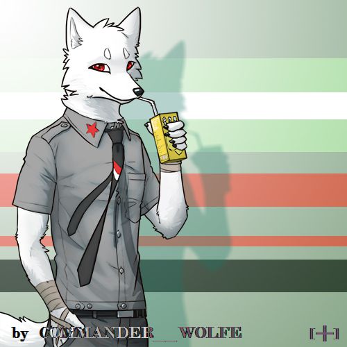 雪鬣-军装衬衫 by COMMANDER--WOLFE