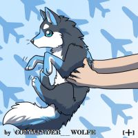 模板-递皮皮犬 by COMMANDER--WOLFE