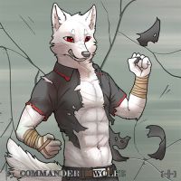 爆衣！ by COMMANDER--WOLFE
