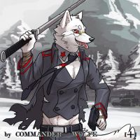 冬季任务 by COMMANDER--WOLFE