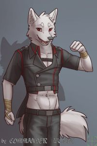 D-3 by COMMANDER--WOLFE