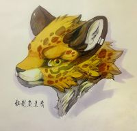 豹 by 秘制鱼豆腐