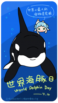 今天是世界海豚日 by 犬神x徹夜