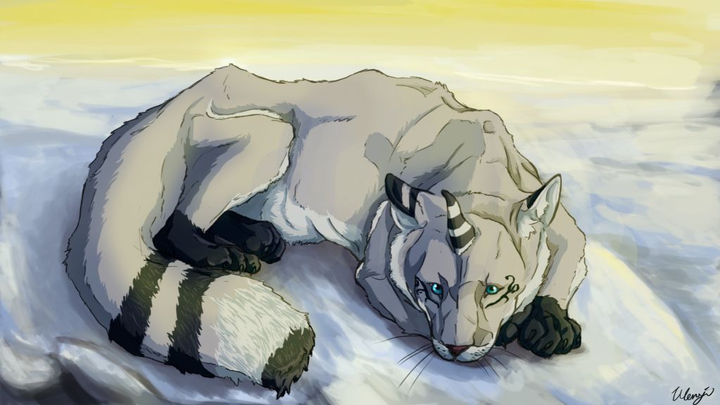 雪狐貓 by 兔子狼, creaturedesign, 貓, 狐狸, 雪狐貓, tiger, fox