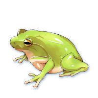 樹蛙 by 瀨礿