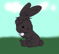 黑兔子 by 尋尋