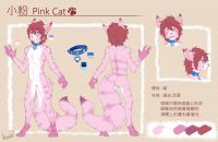 Pink Cat設定