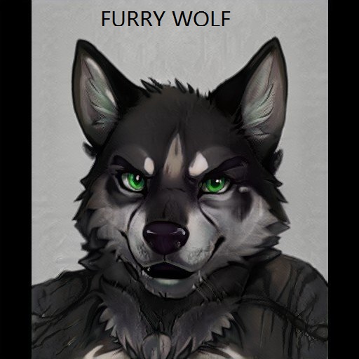 DOG IS FURYY IS GOOD THE IS WOLF MAN by furrywolfdog, FURRY