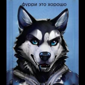 СОБАКА by furrywolfdog