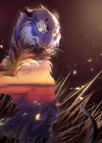sunset tiger by 灰虎